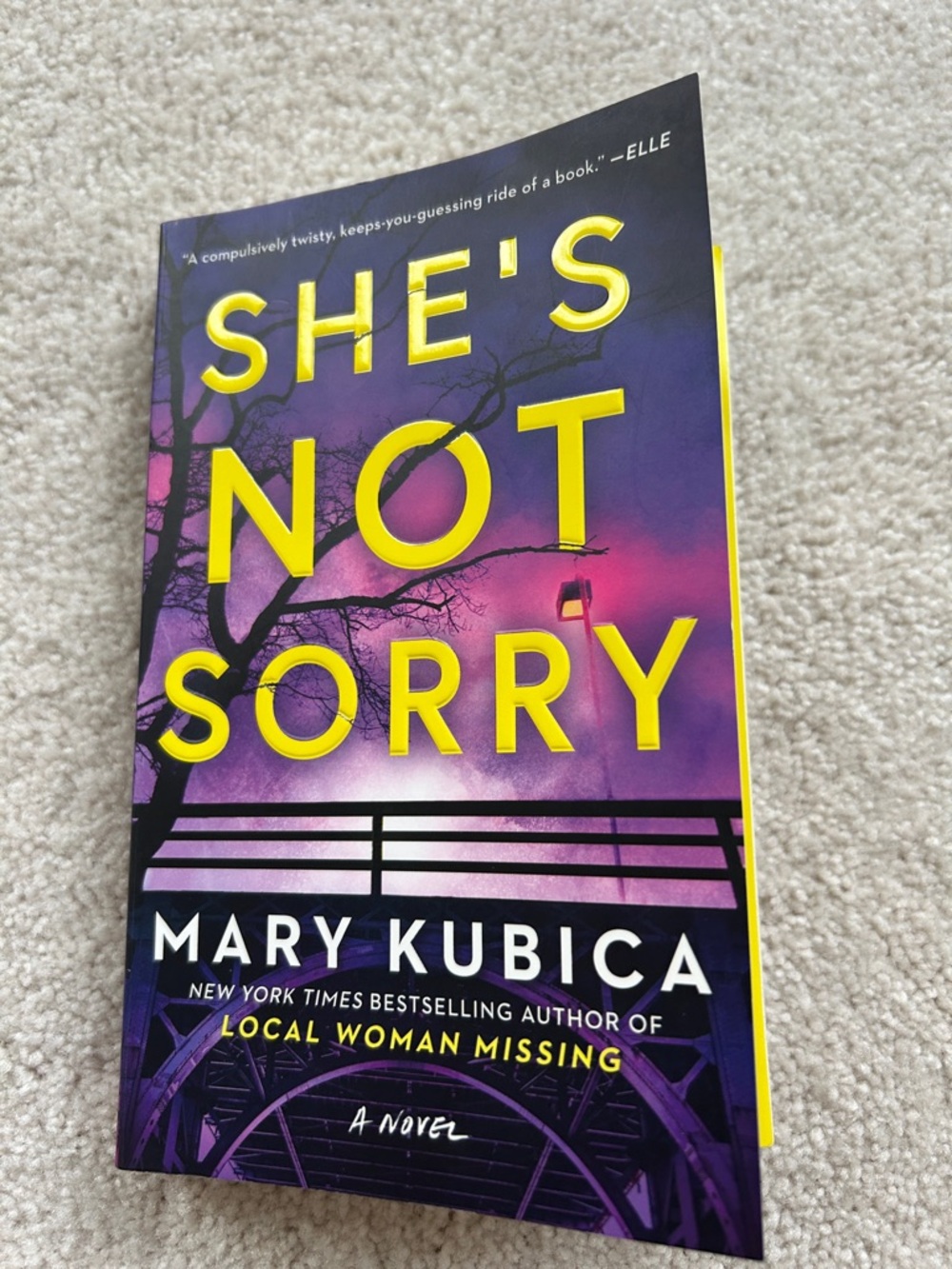 Paperback Book, She’s Not Sorry by Mary Kubica. An Instant NY Times Bestseller